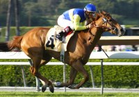 Megahertz