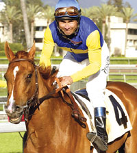 Megahertz