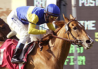 Megahertz