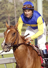 Megahertz