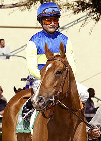 Megahertz
