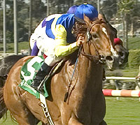 Megahertz