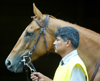 Megahertz