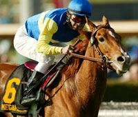 Megahertz