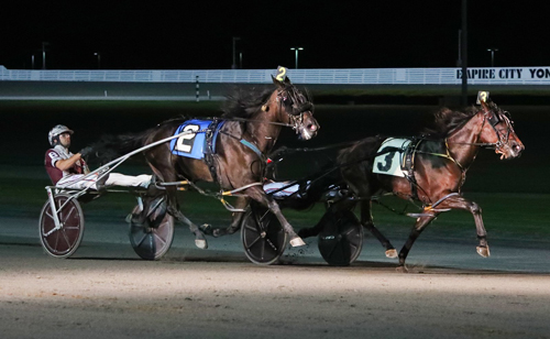 Merga Hanover 8/2/19