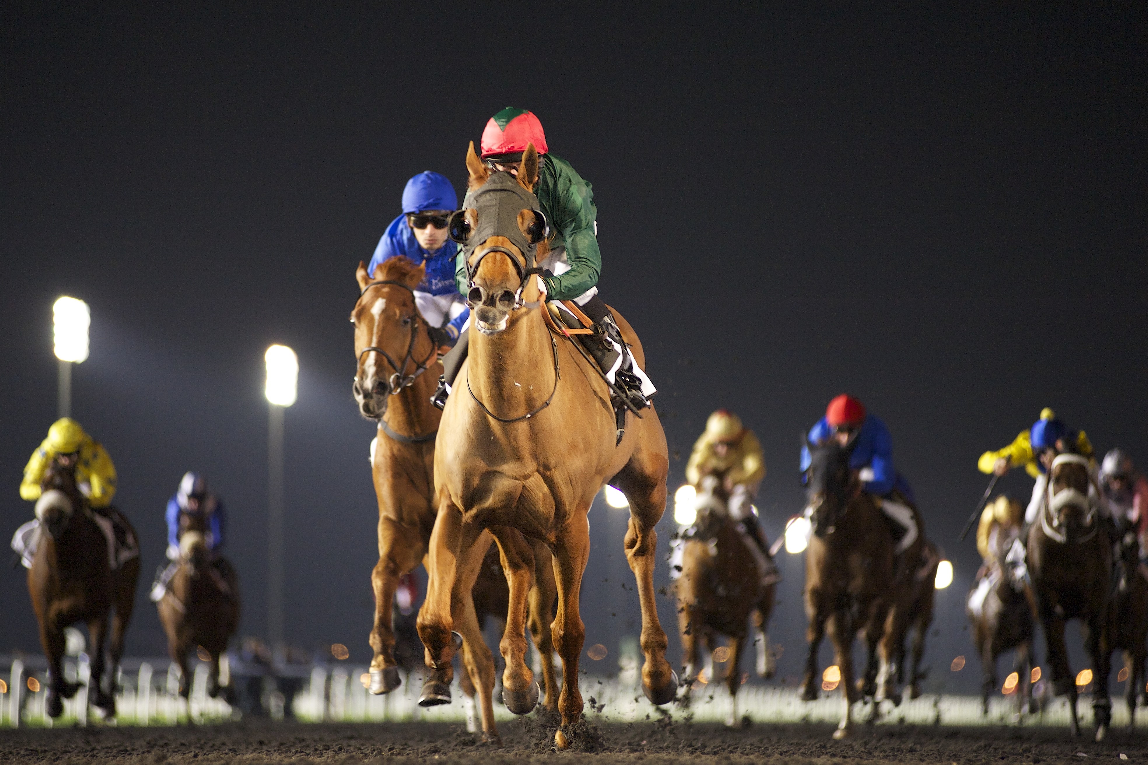 Prince Bishop 2-6-2014