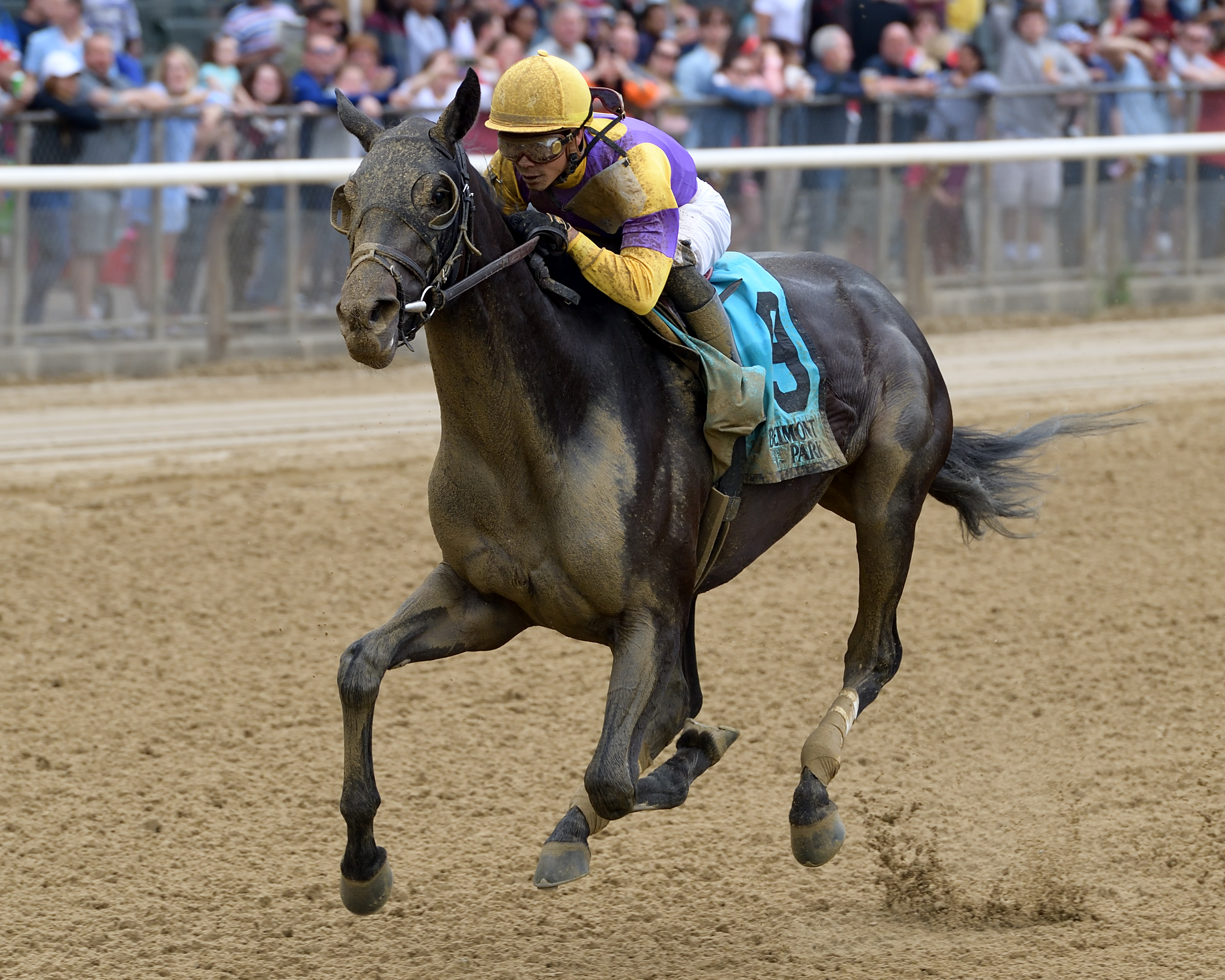Midnight Disguise wins the 2018 Bouwerie Stakes