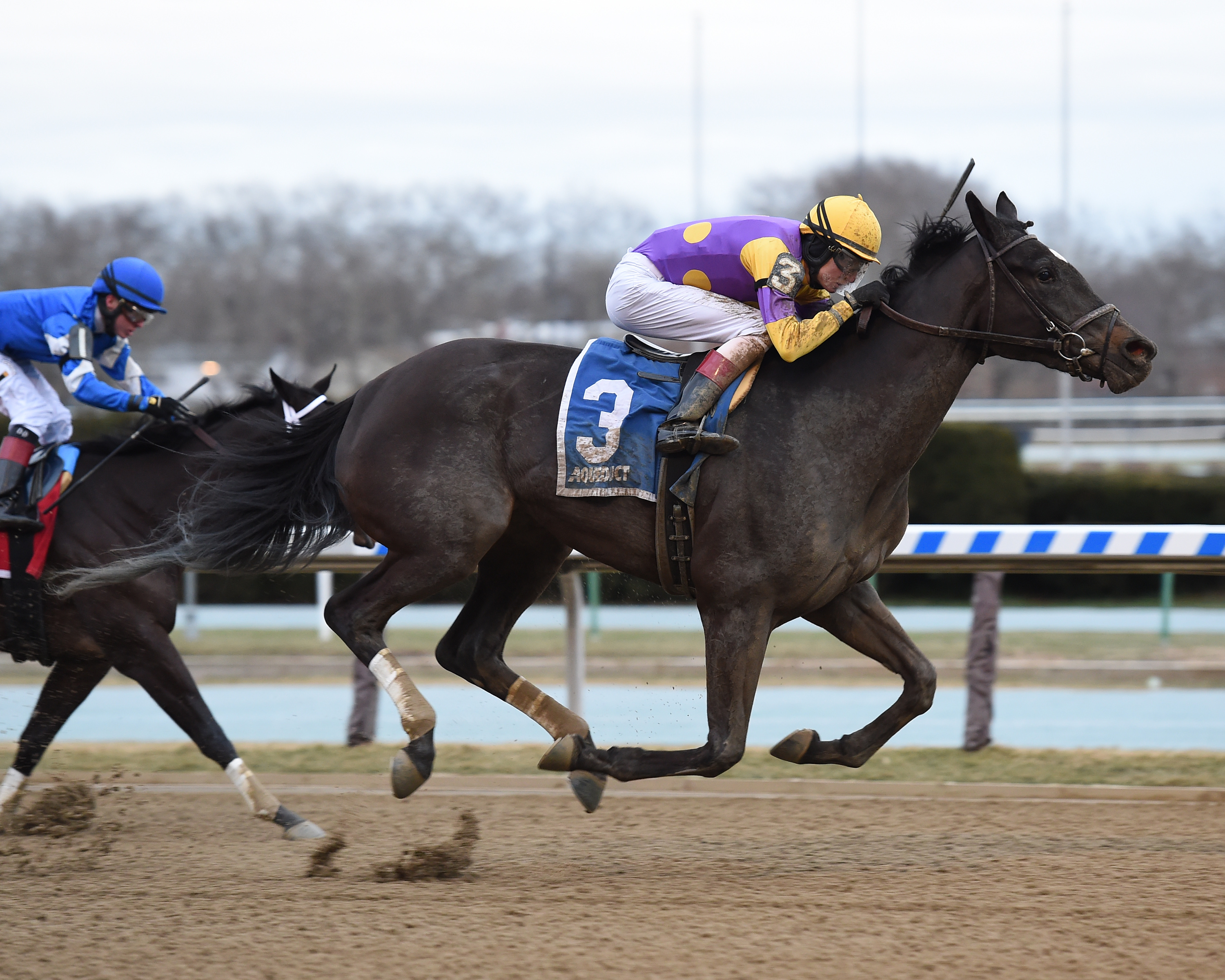 Midnight Disguise wins the 2018 Busher Stakes