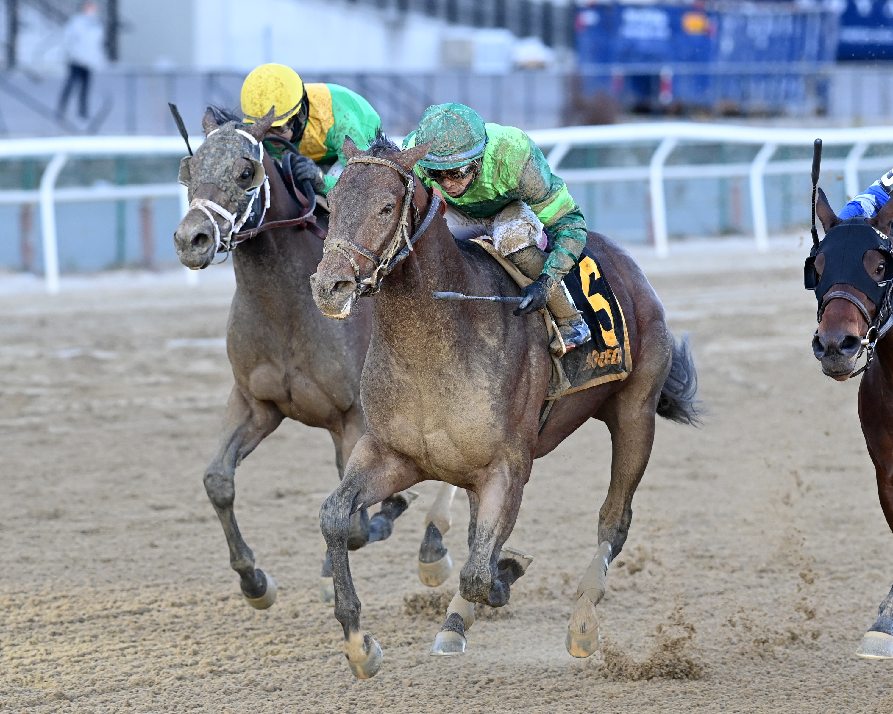Miles D (6) wins the Discovery Stakes 11-27-2021