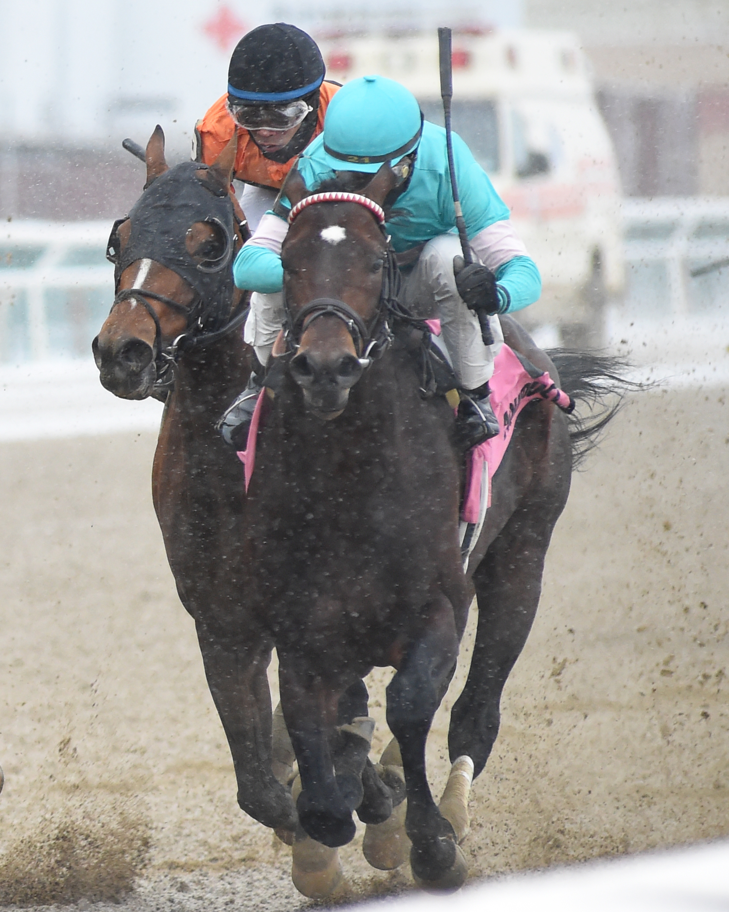 Mind Control wins the 2020 Toboggan Stakes