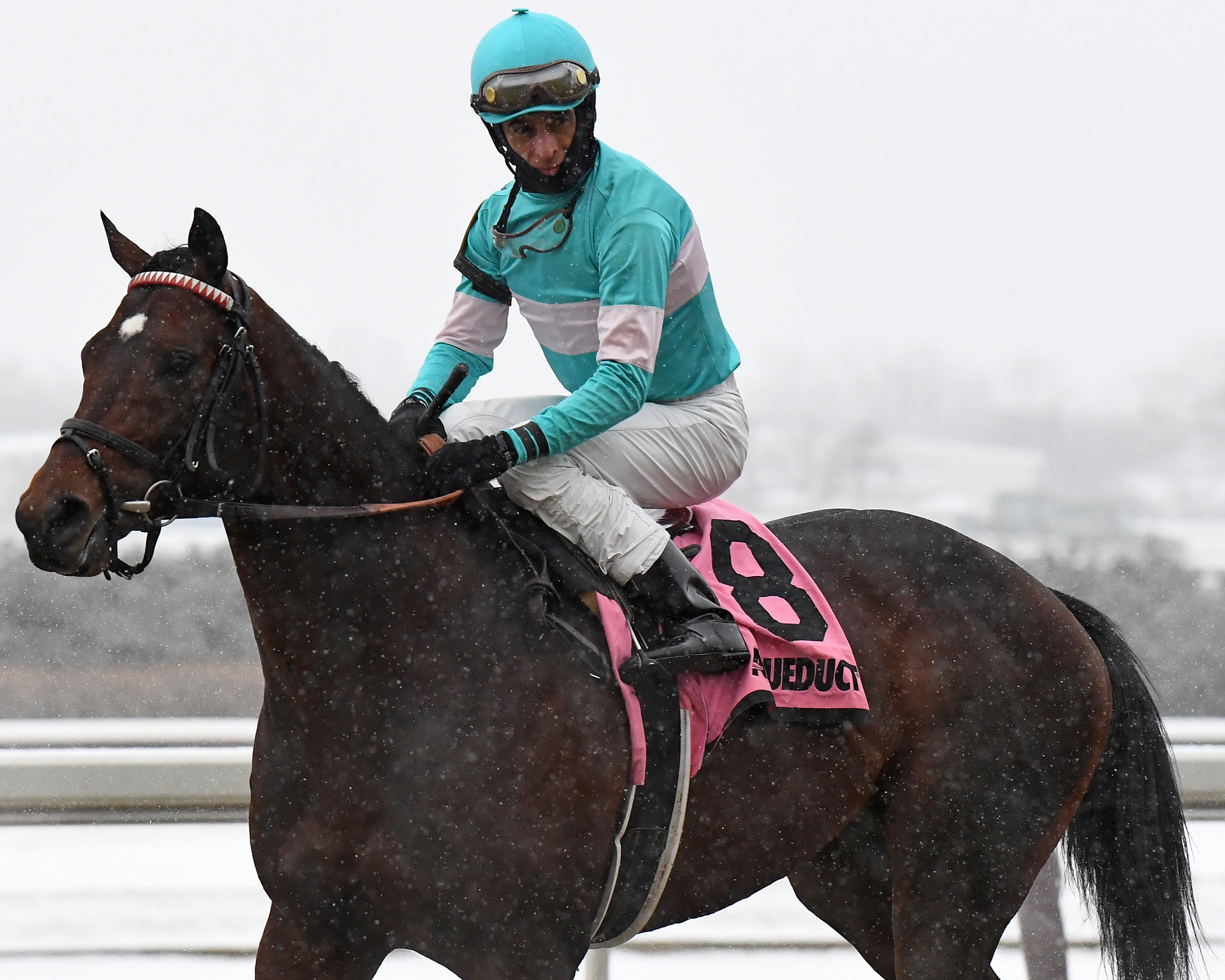Mind Control following victory in the 2020 Toboggan Stakes