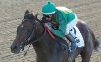 Mineshaft