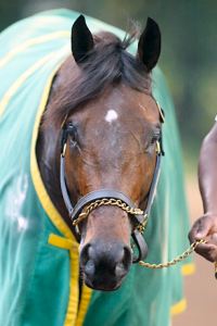 Mineshaft