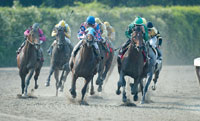 Mineshaft