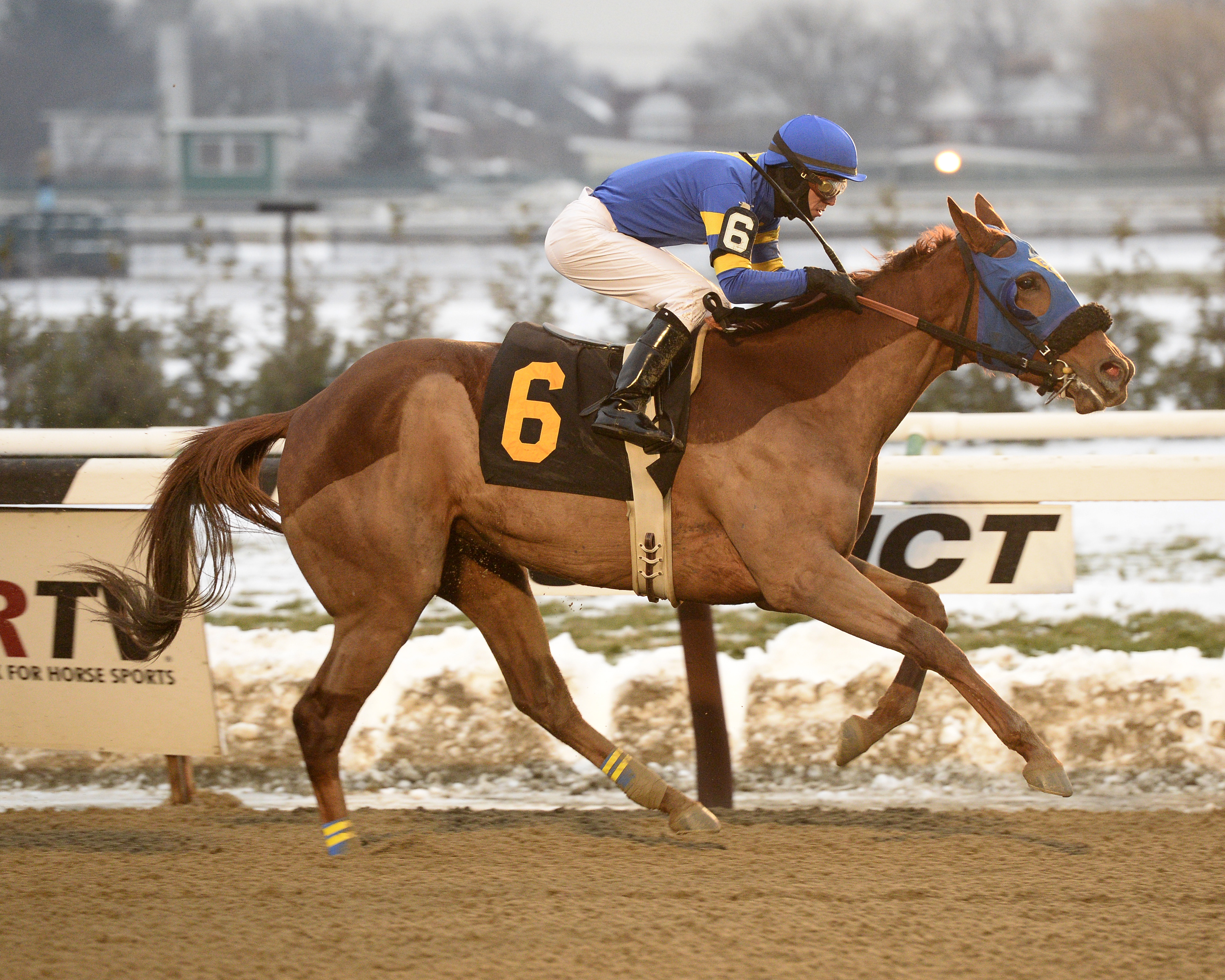 Miss Da Point 1-5-2014