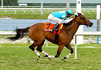 Miss Victory