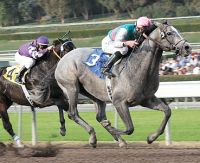 Mizzen Mast
