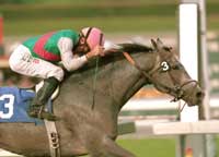 Mizzen Mast