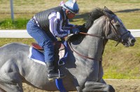 Mizzen Mast