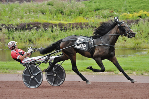 Mon Cheval 8-16-21