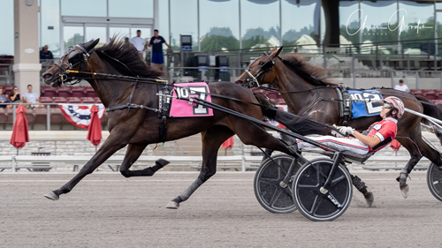 Mon Cheval 8-26-21