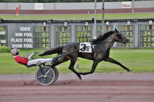 Mon Cheval 7-18-21