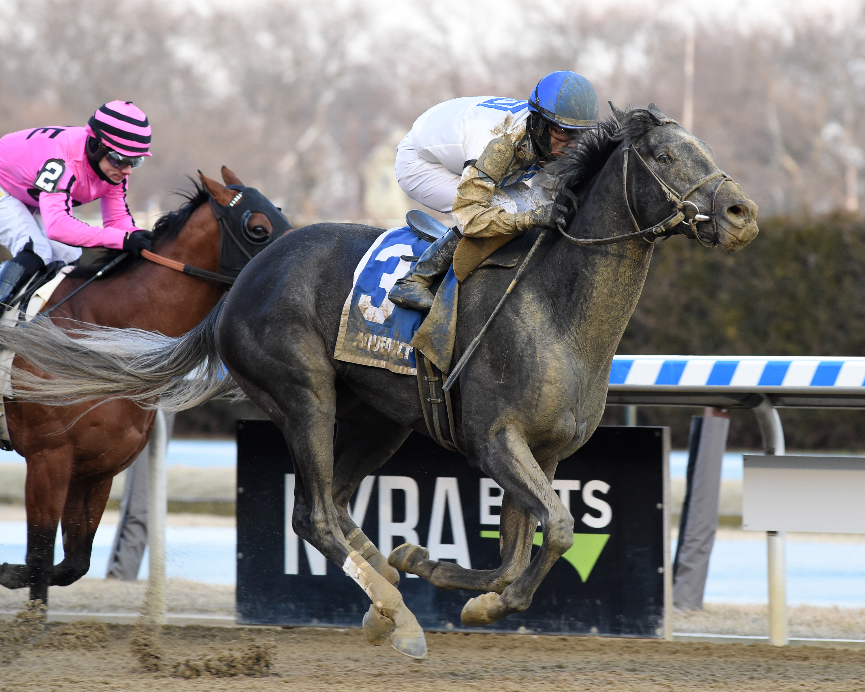 Montauk Traffic wins the 2020 Jimmy Winkfield