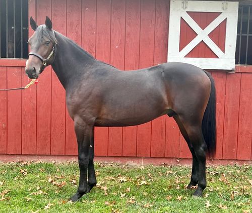 Monticello 11-6-22