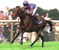 Montjeu