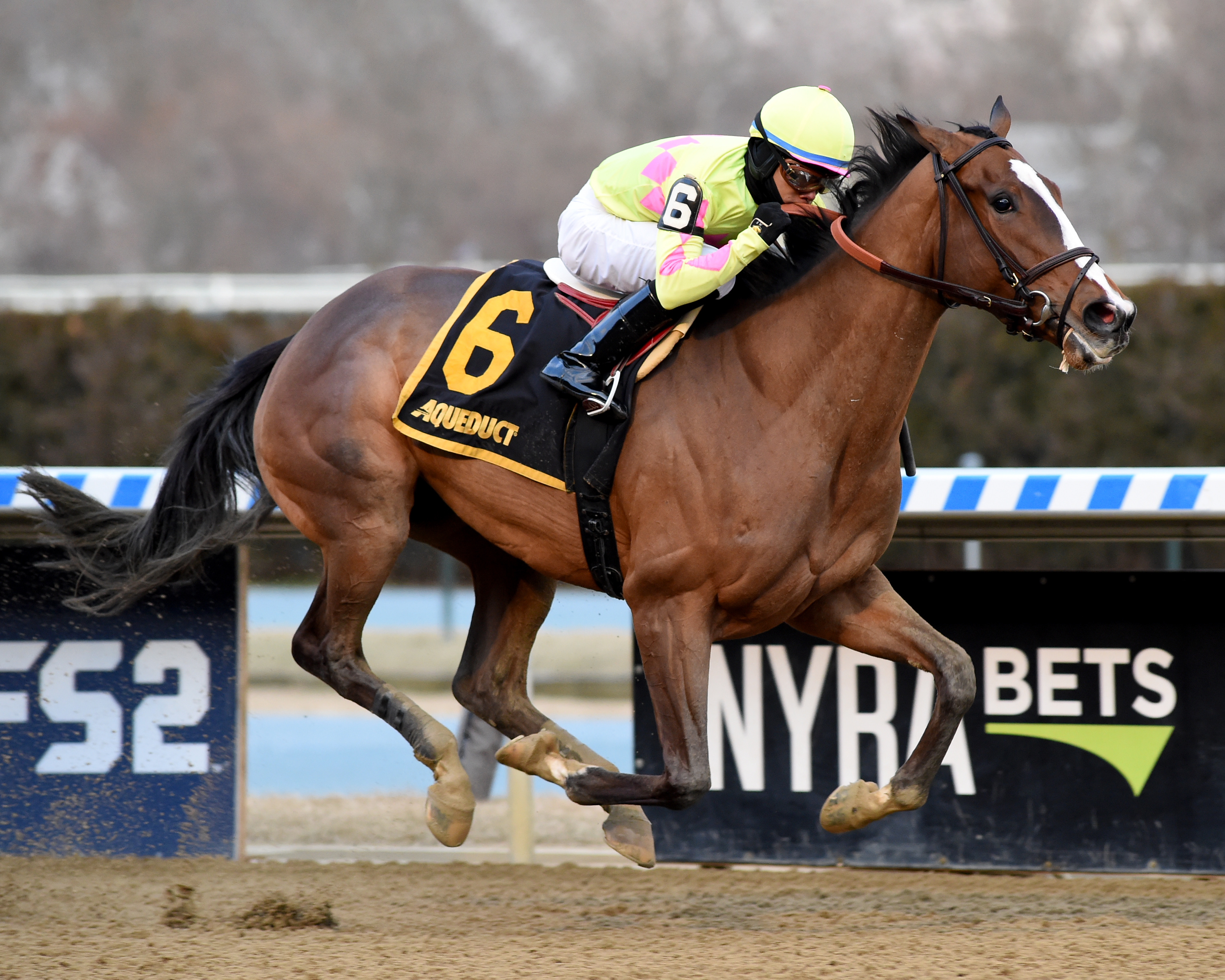 More Mischief wins the 2020 Biogios Rose