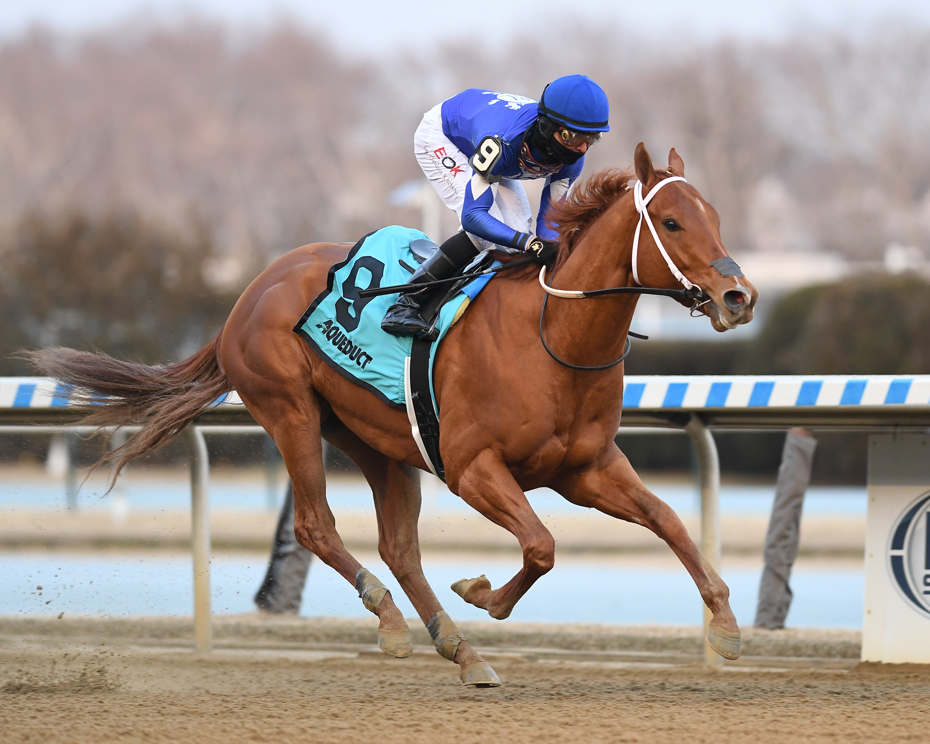 Morello wins the Gotham 3-5-2022