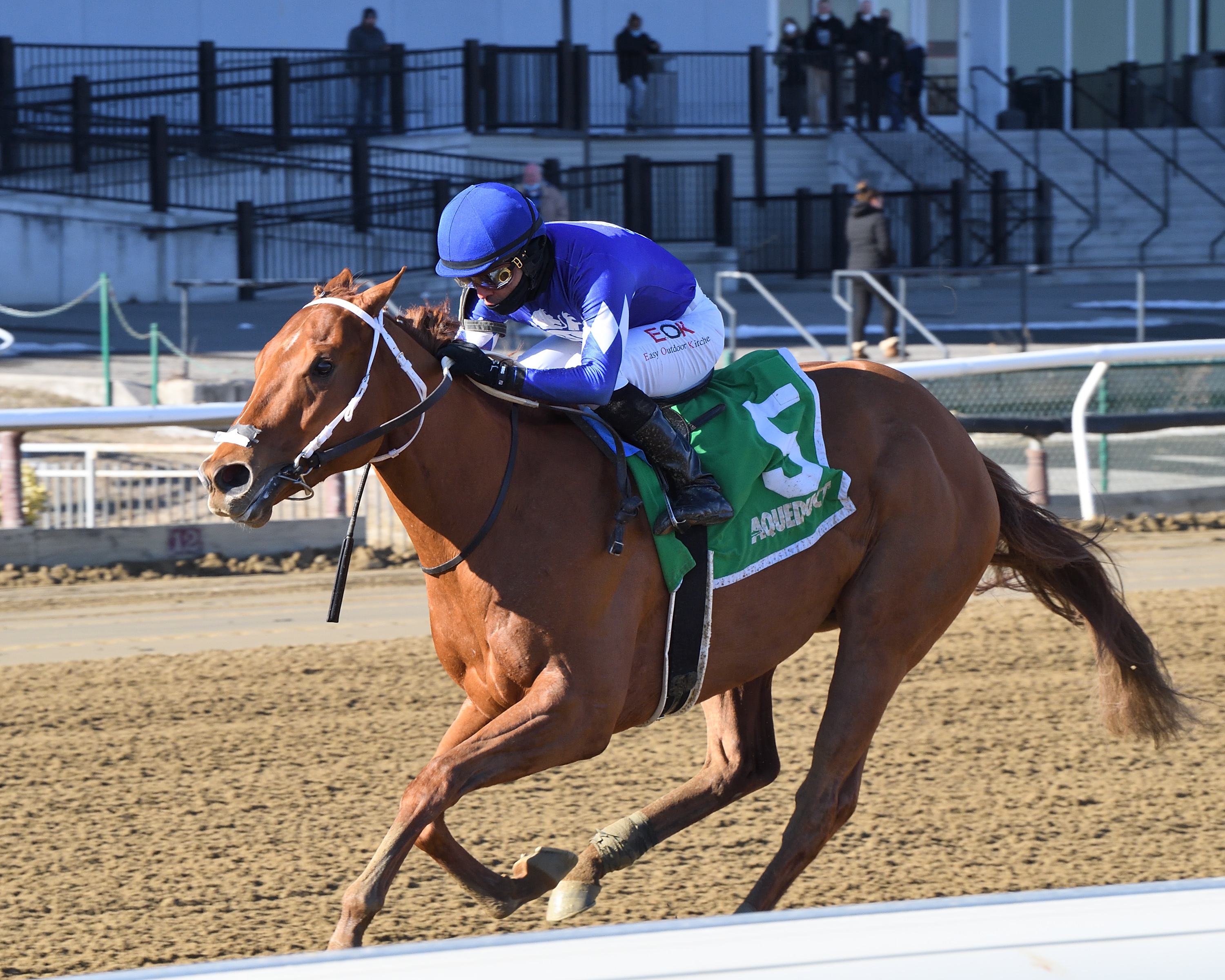 Morello wins Winkfield 2-6-2022