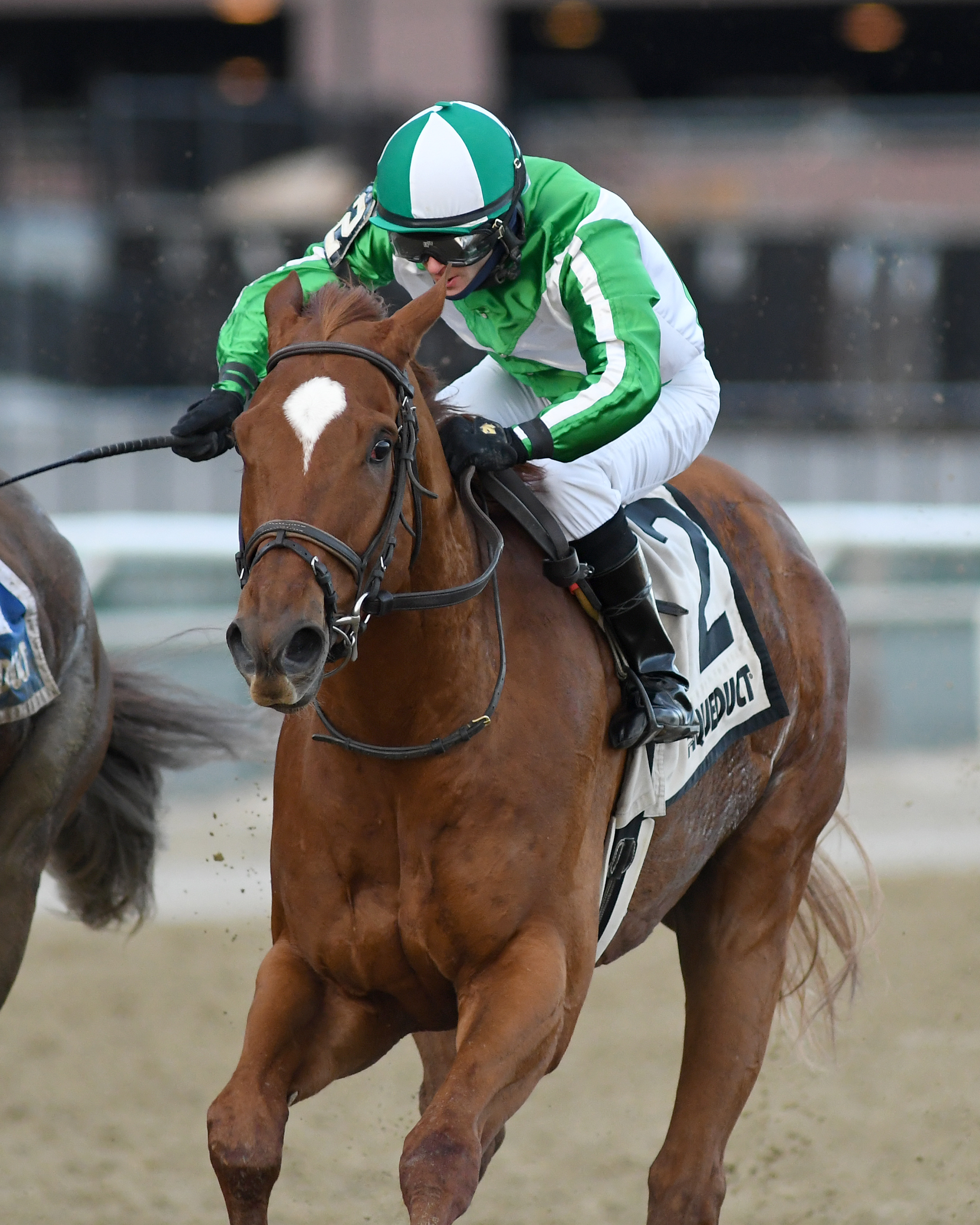 Mr. Buff wins 2018 Alex Robb Stakes