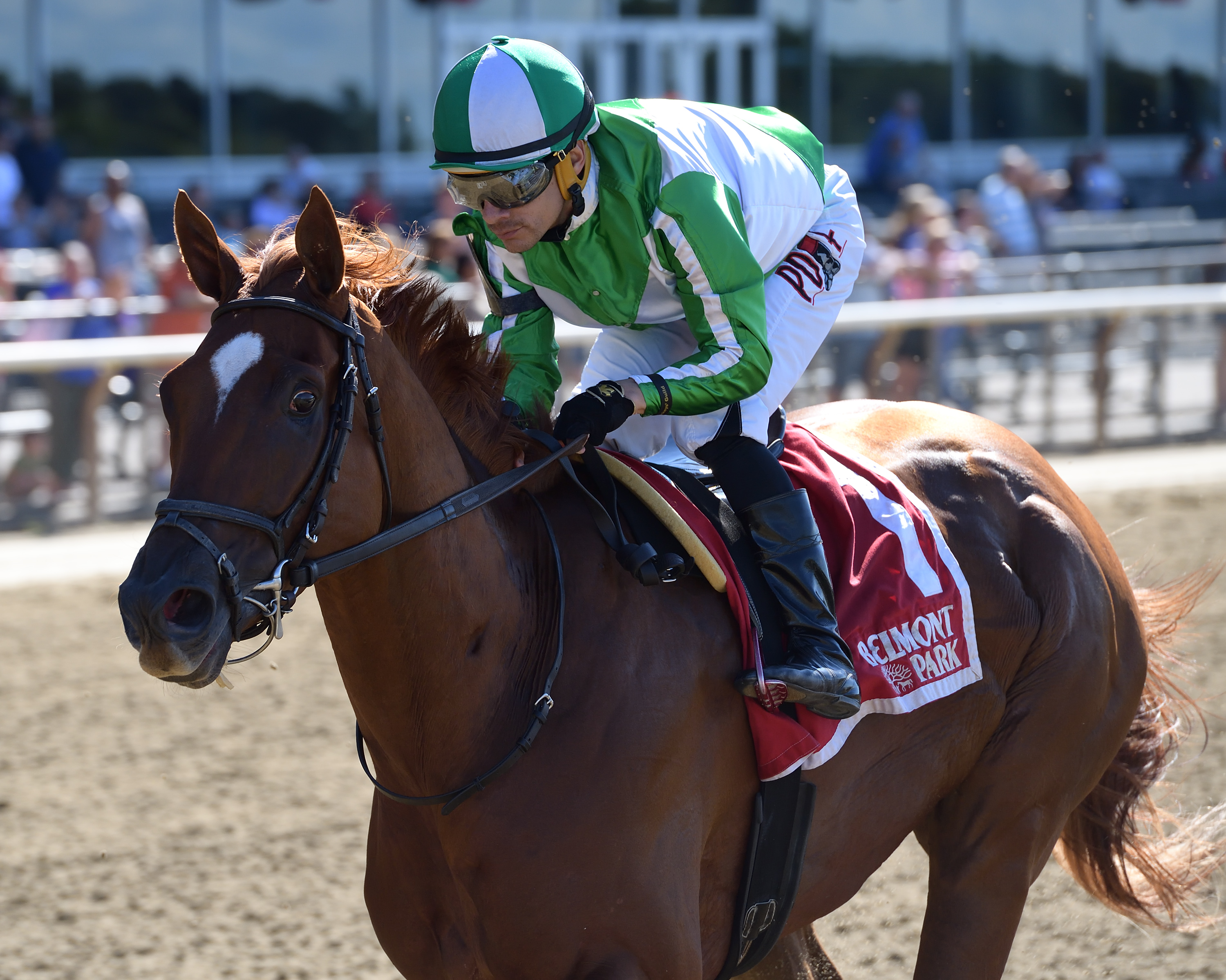 Mr. Buff wins the 2019 Saginaw Stakes