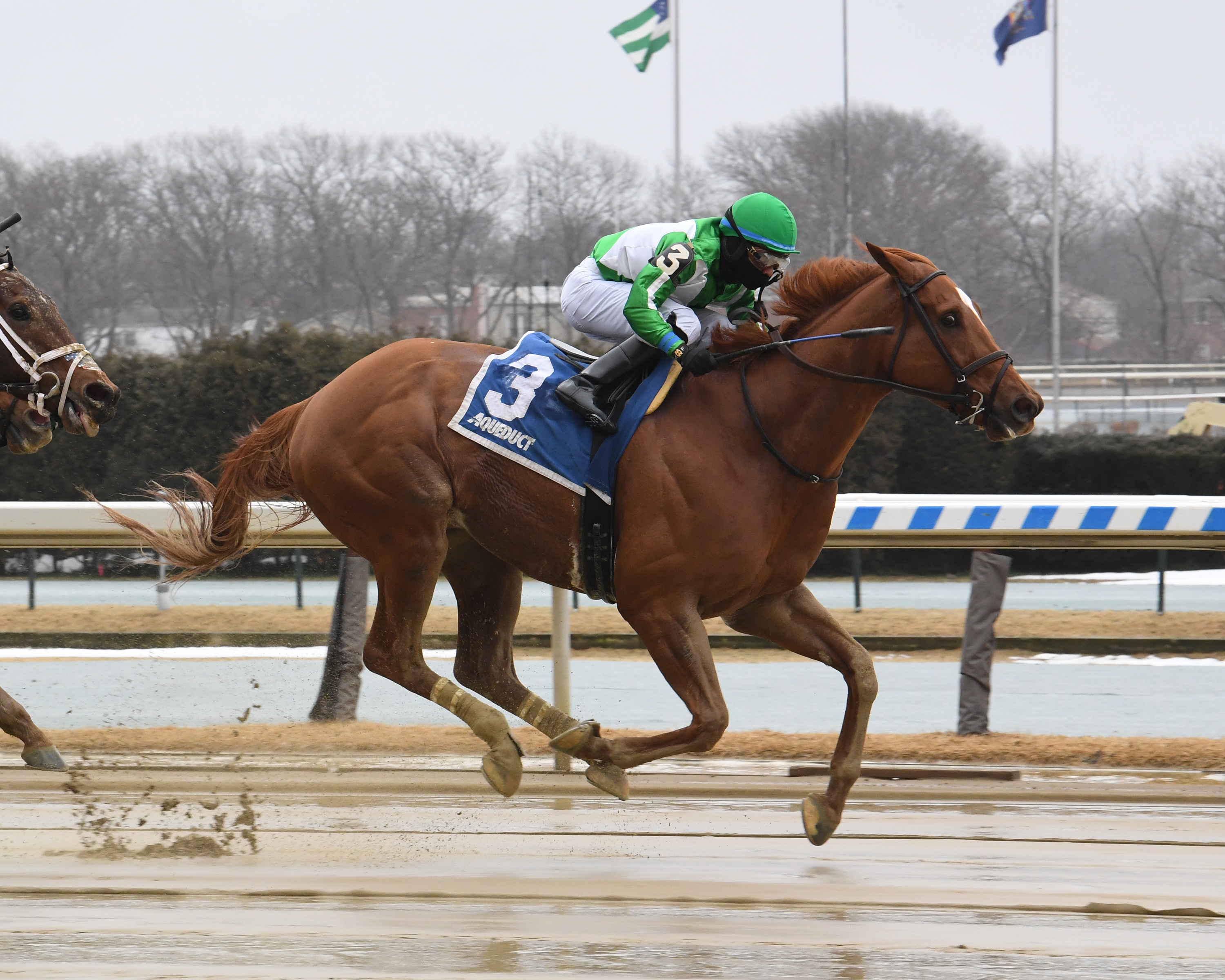 Mr. Buff wins the Stymie 2-27-2021