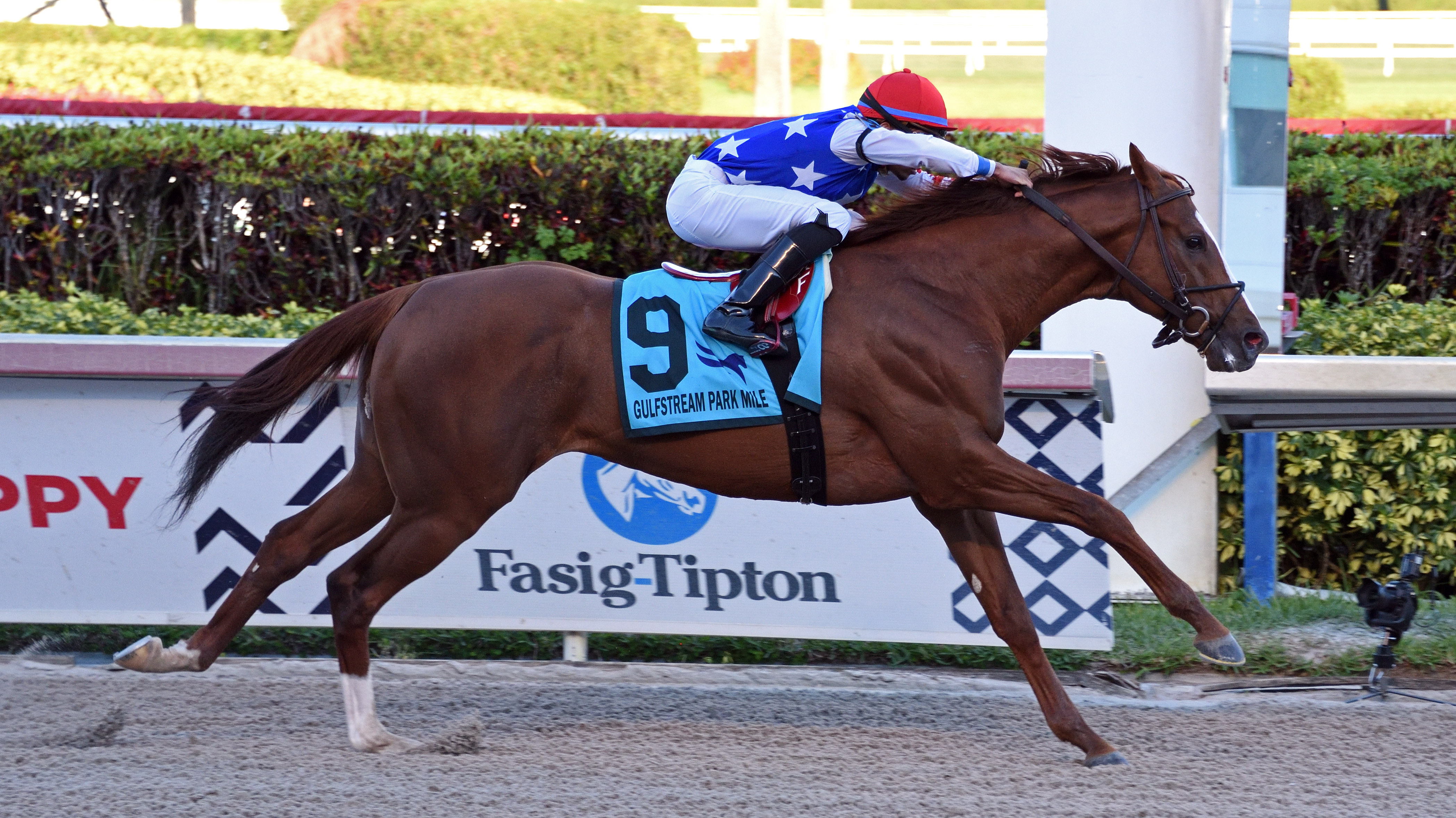 Mr Freeze/Gulfstream Park Mile