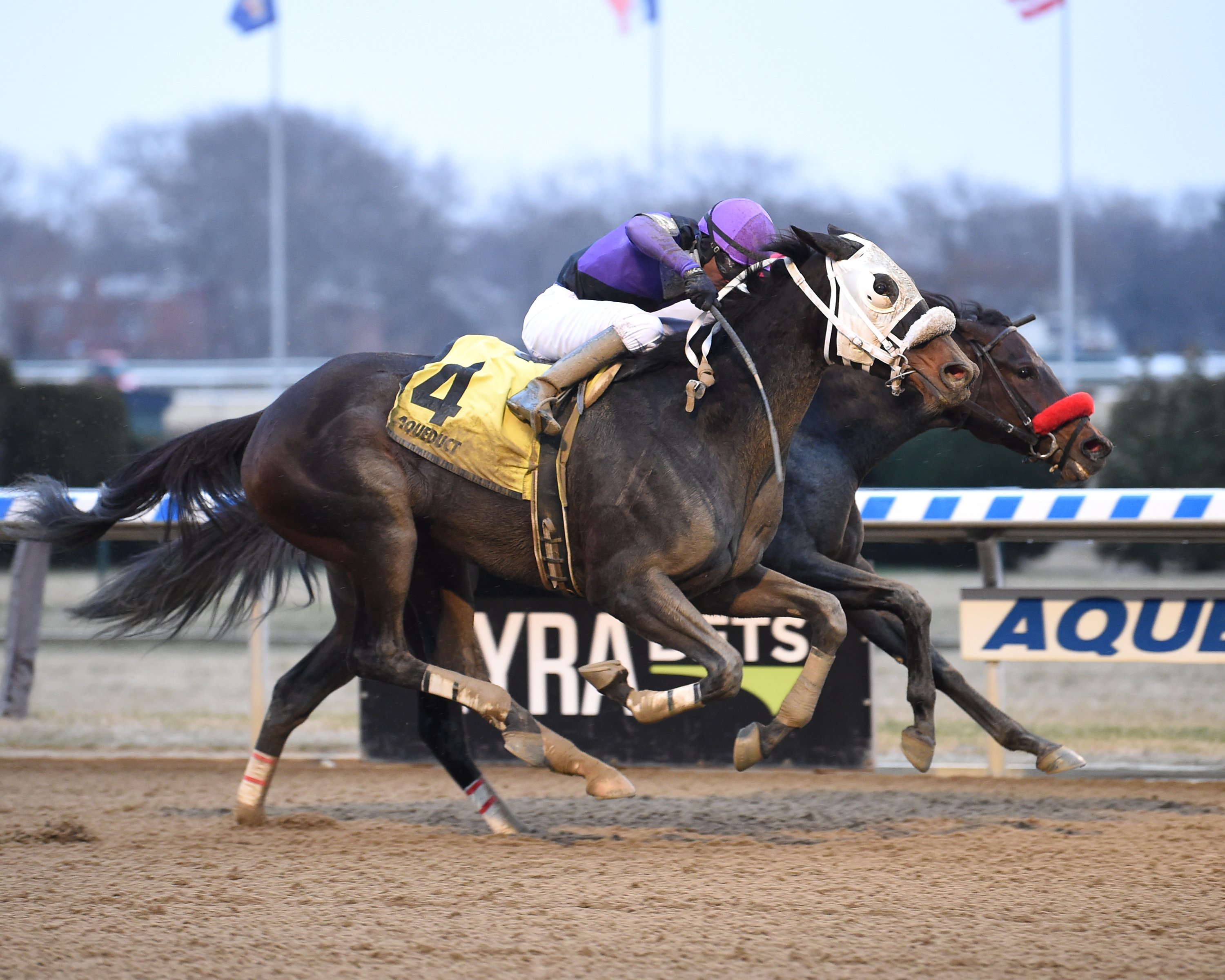 Mrs. Orb (inside, red noseband) wins the 2019 Bay Ridge Stakes
