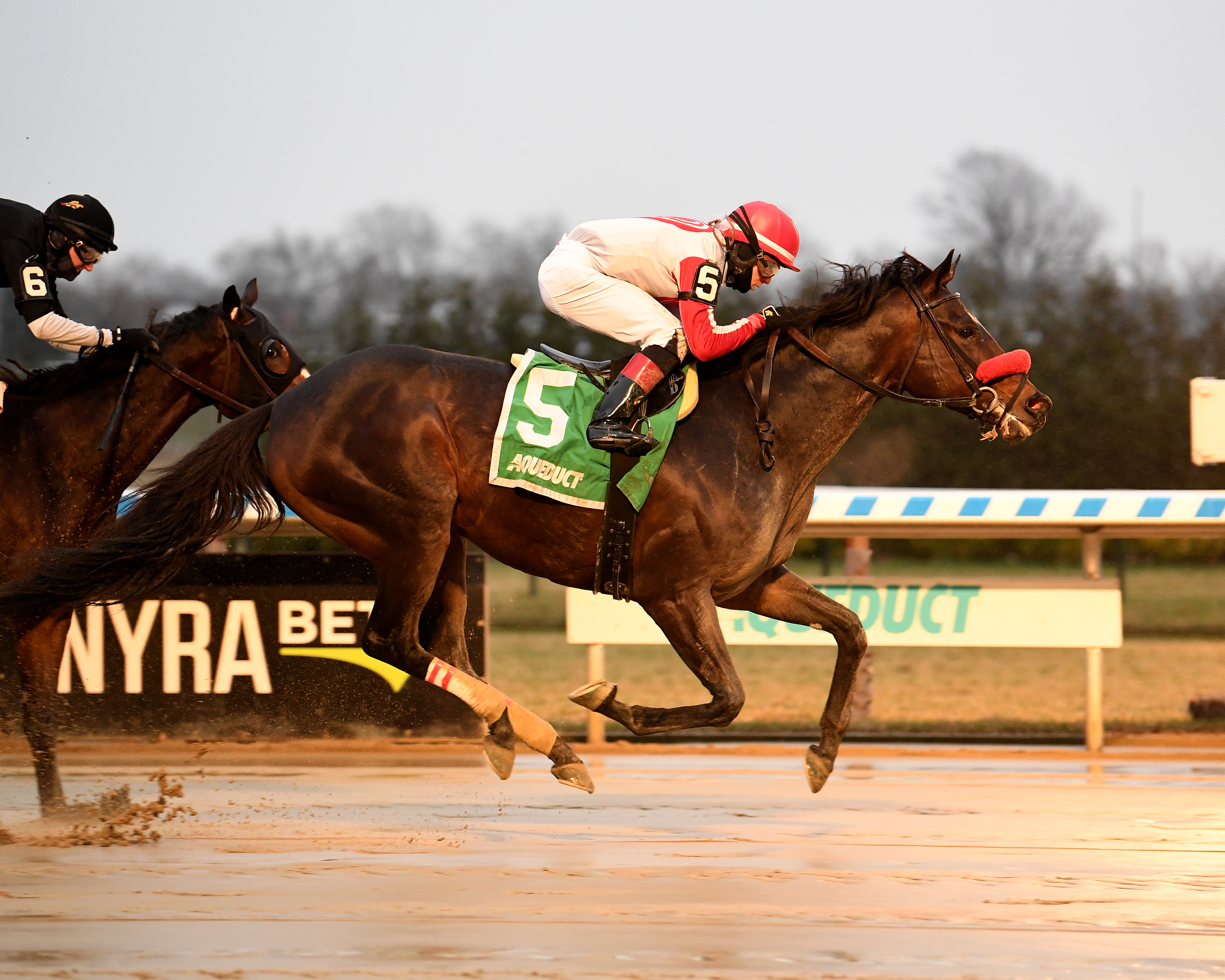 Mrs. Orb wins the La Verdad 1-3-2021
