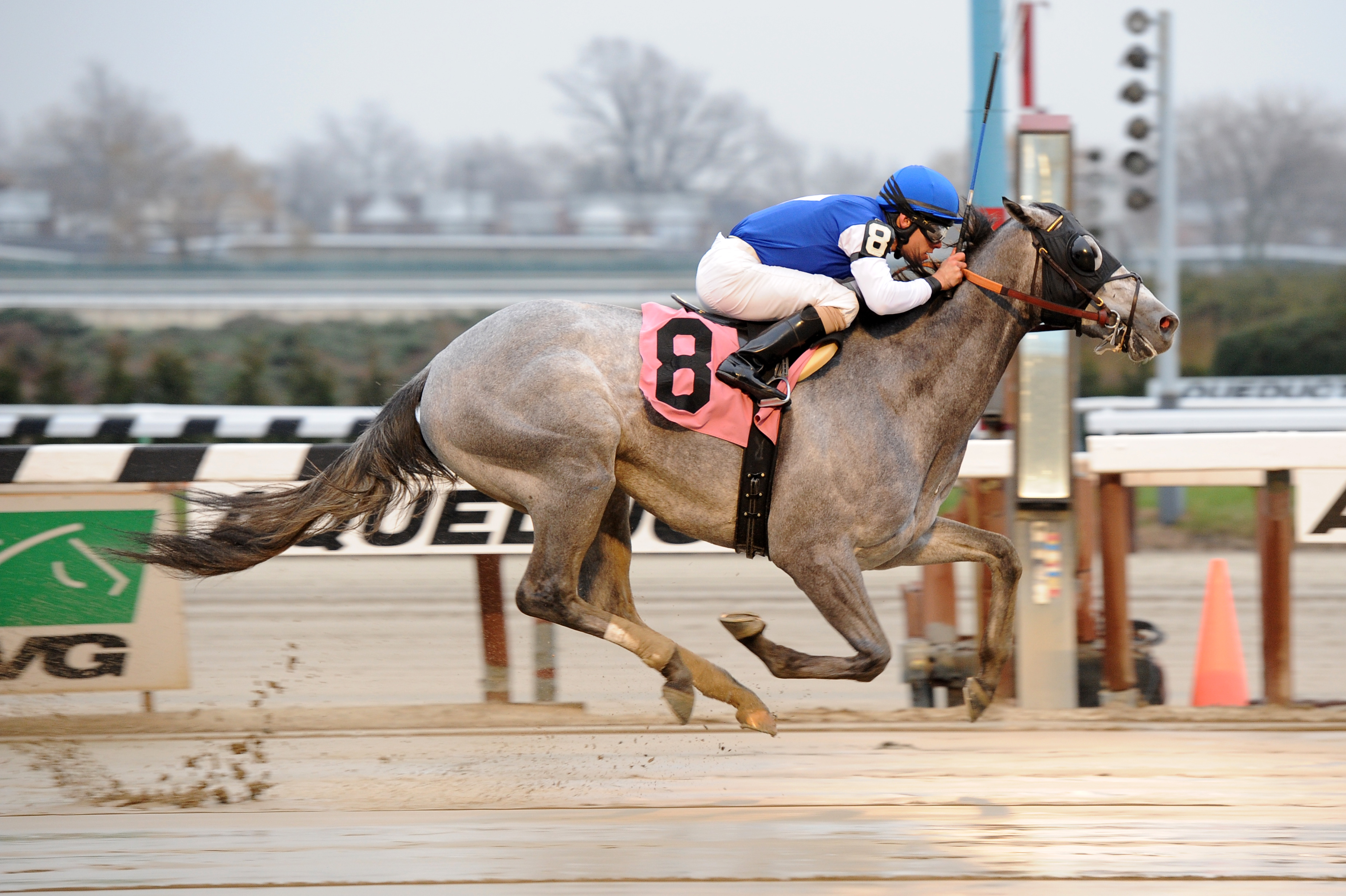 Mudflats maiden win