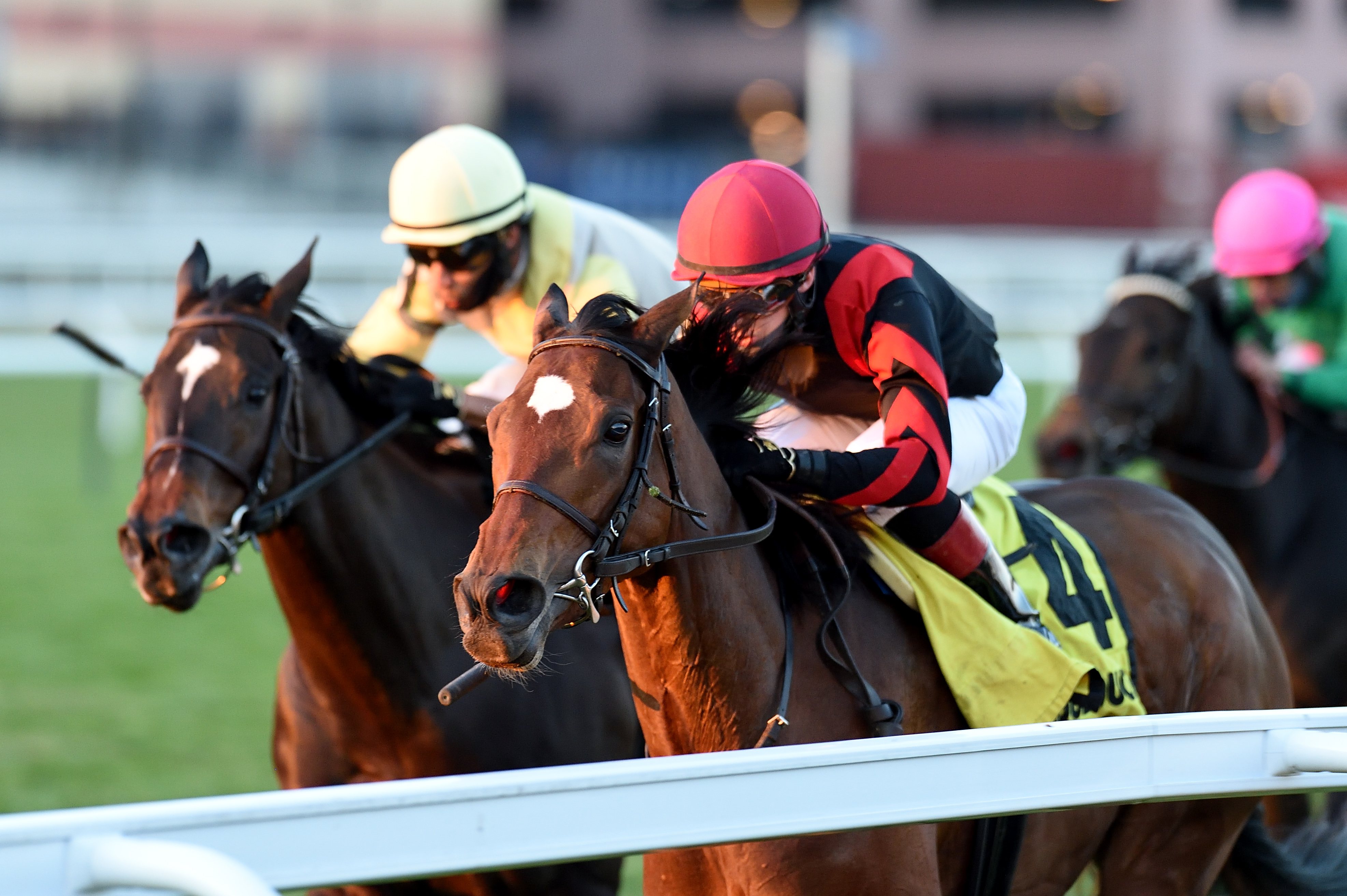 Mutamakina wins the Long Island 11-28-2020
