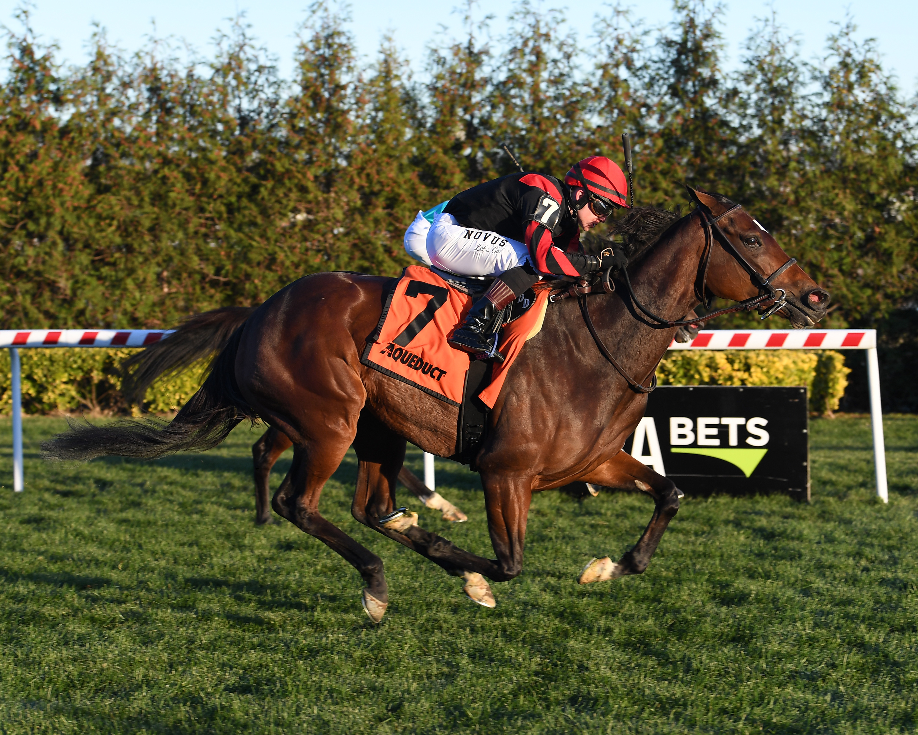 Mutamakina wins the Long Island 11-27-2021