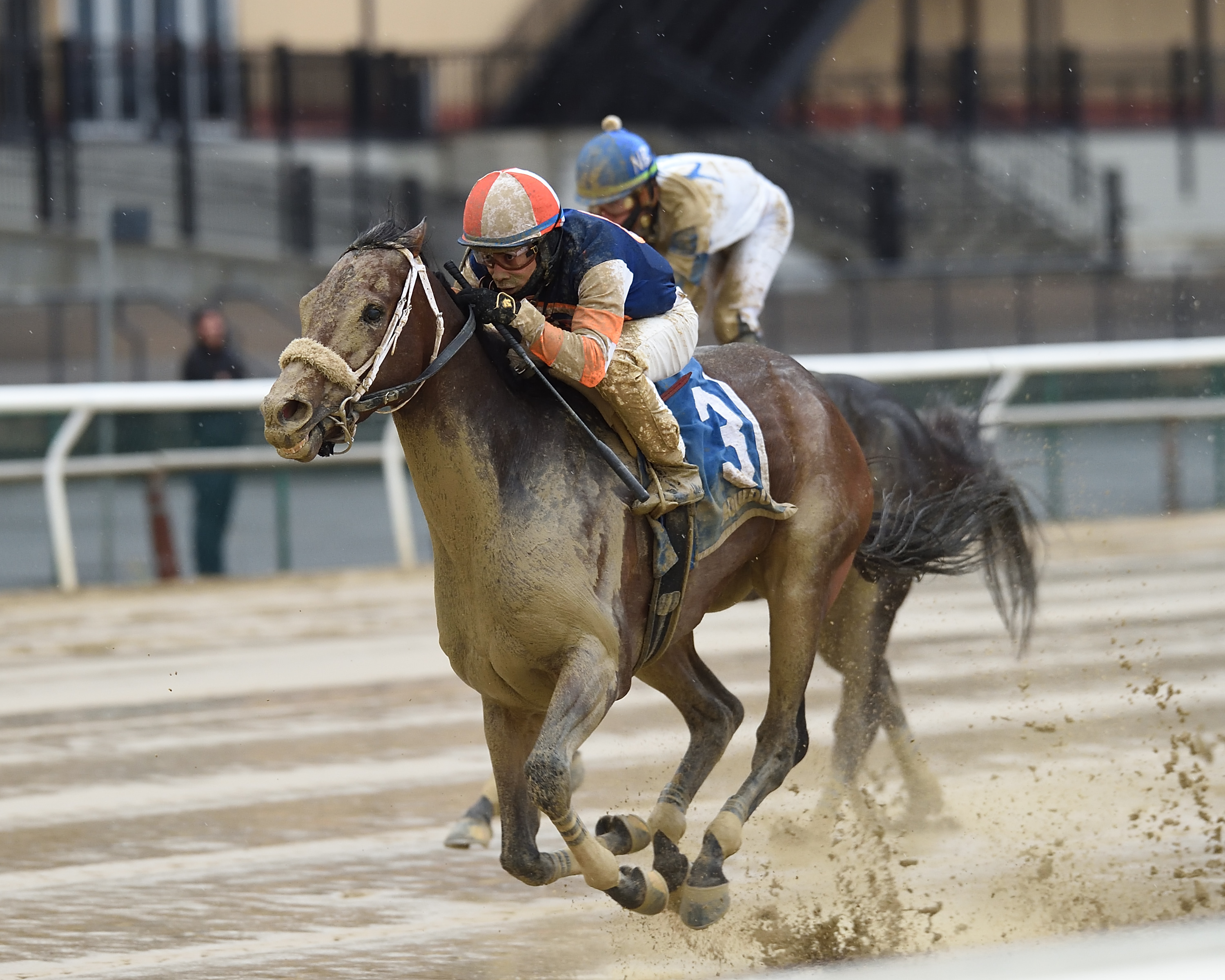 My Boy Tate wins the 2019 NYSS Thunder Rumble