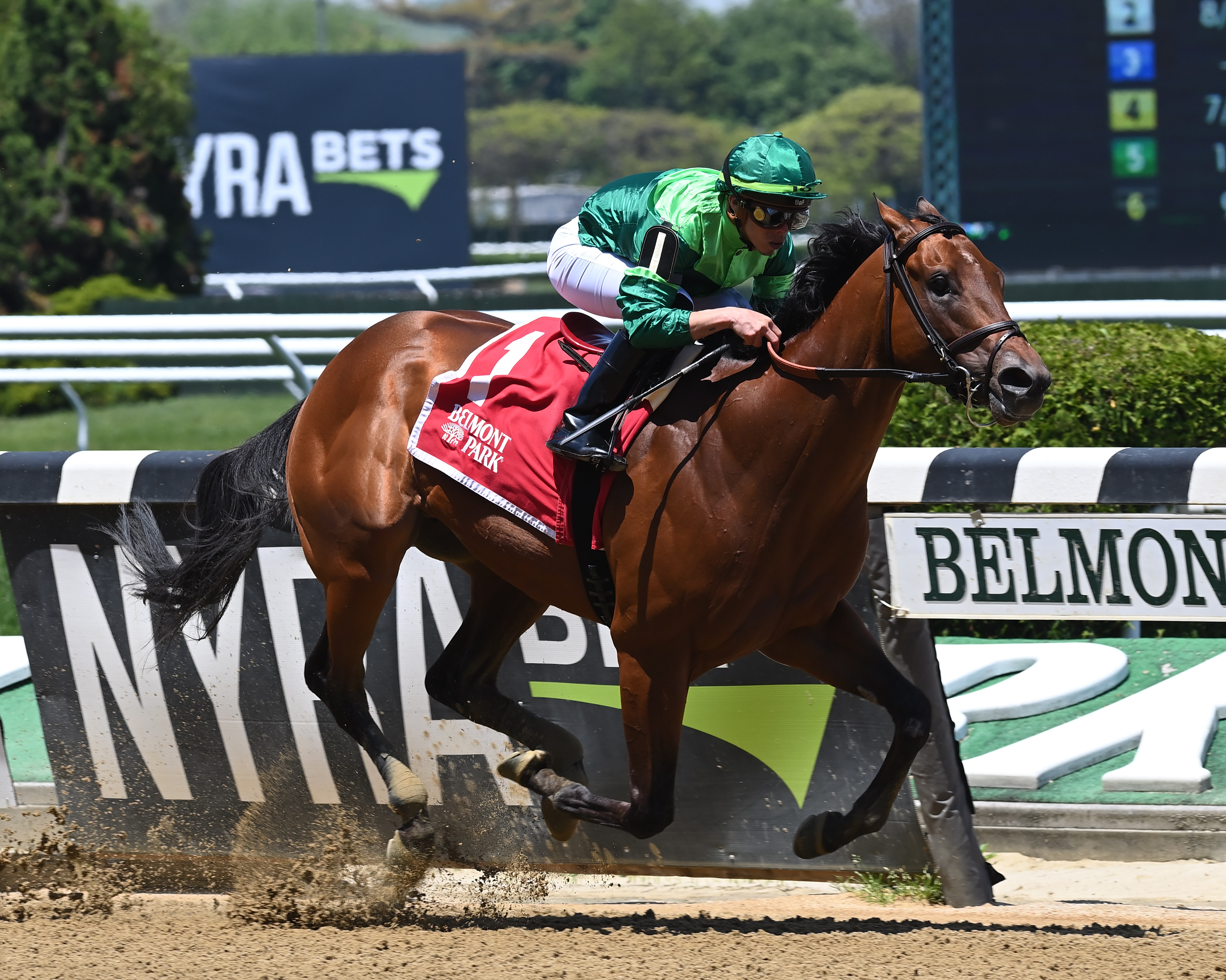 Nabokov, maiden race May 15 Belmont