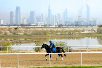 Nad Al Sheba