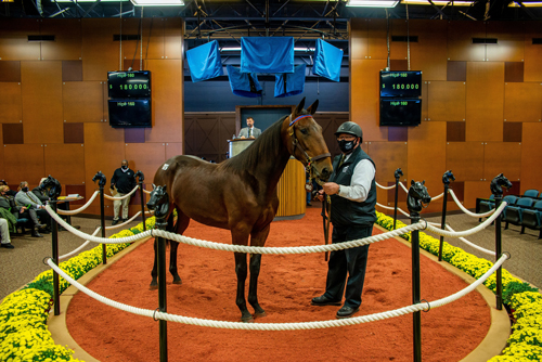 Nautical Hanover 11/4/20