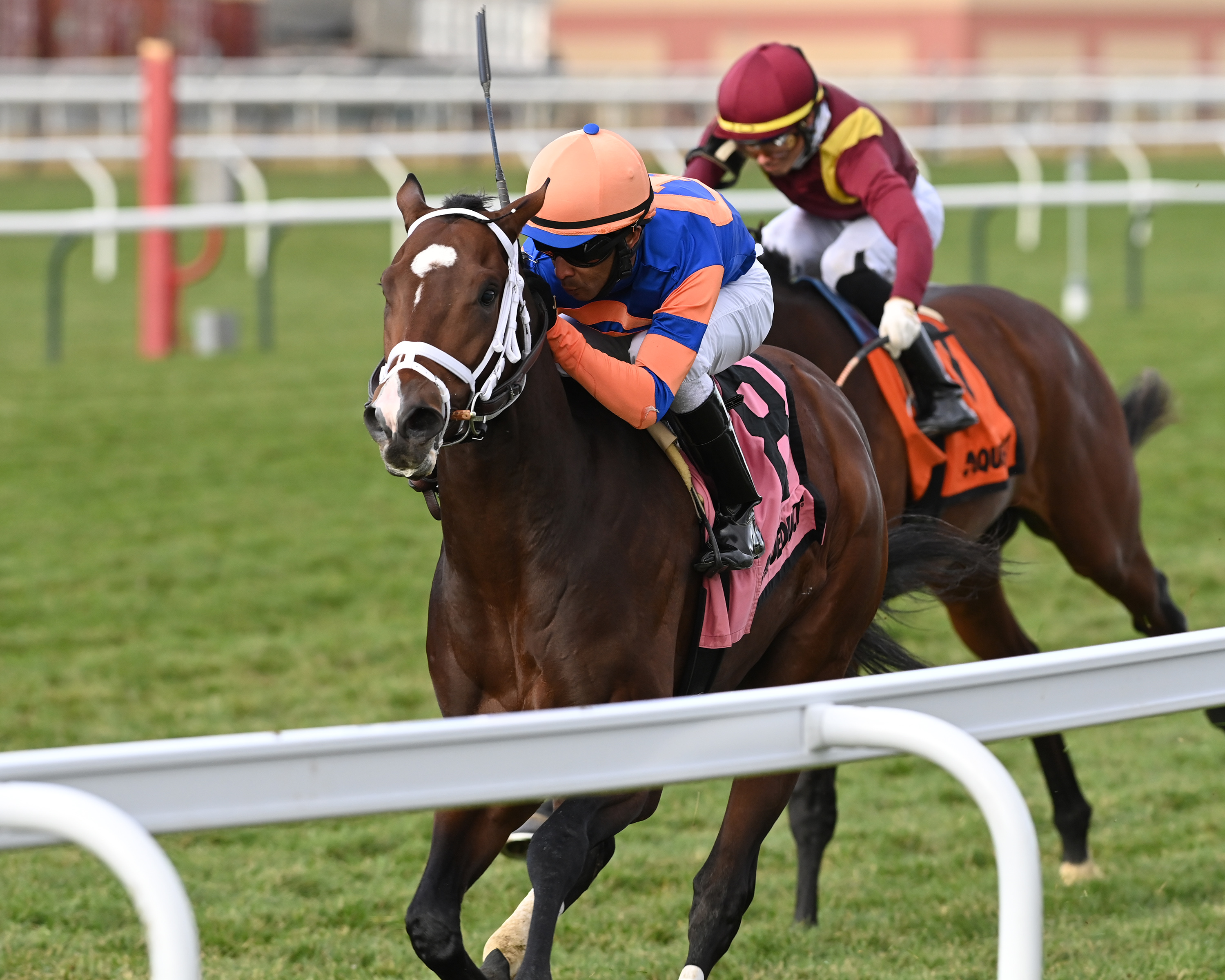 Never Surprised wins the Central Park 11-28-2020
