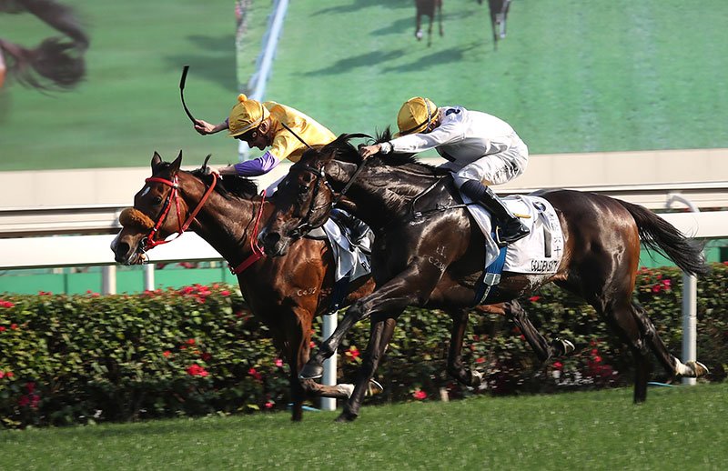 Golden Sixty (right) en route to victory in the 2020 Hong Kong Derby