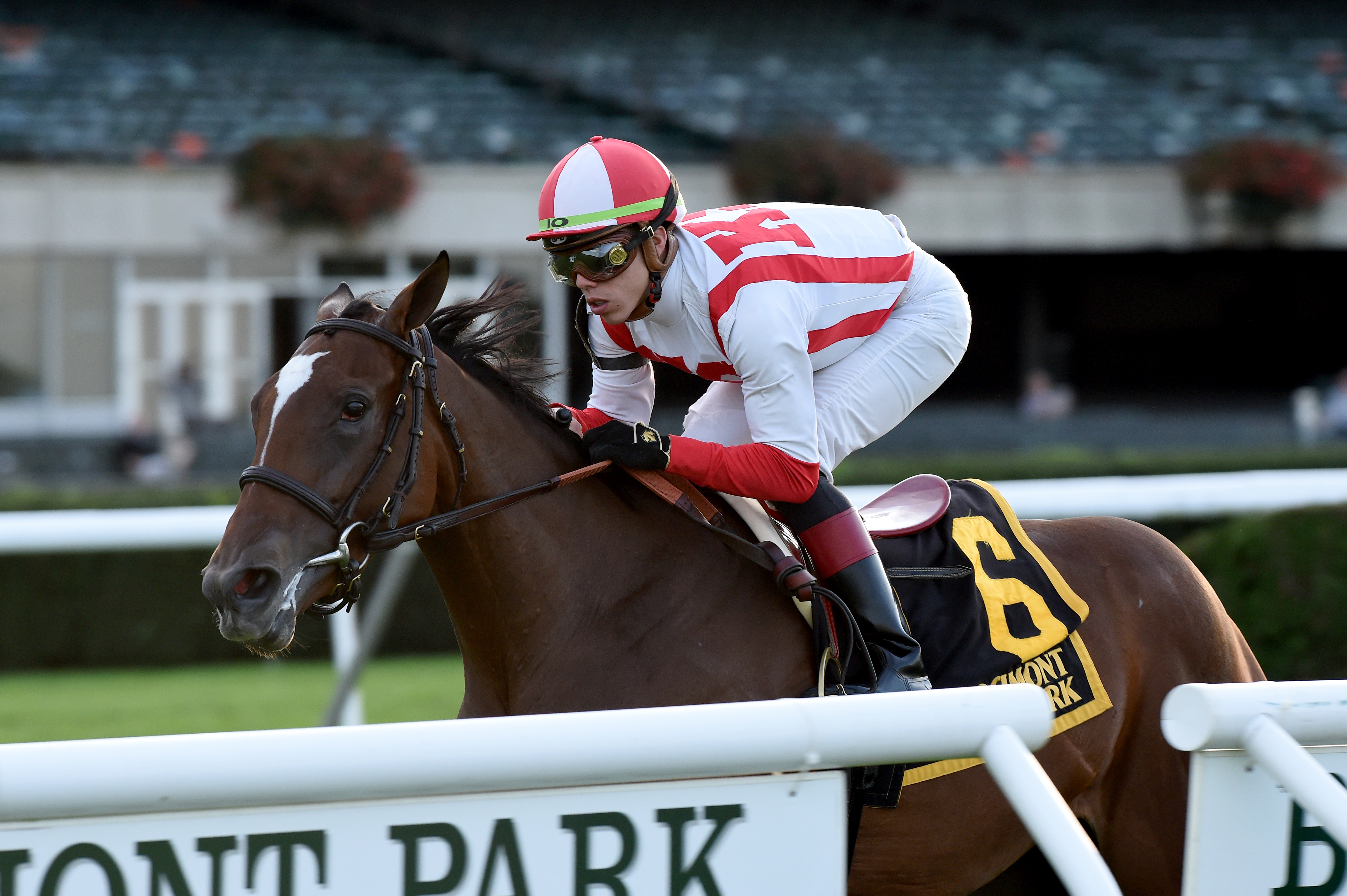 Newspaperofrecord wins 2018 Miss Grillo