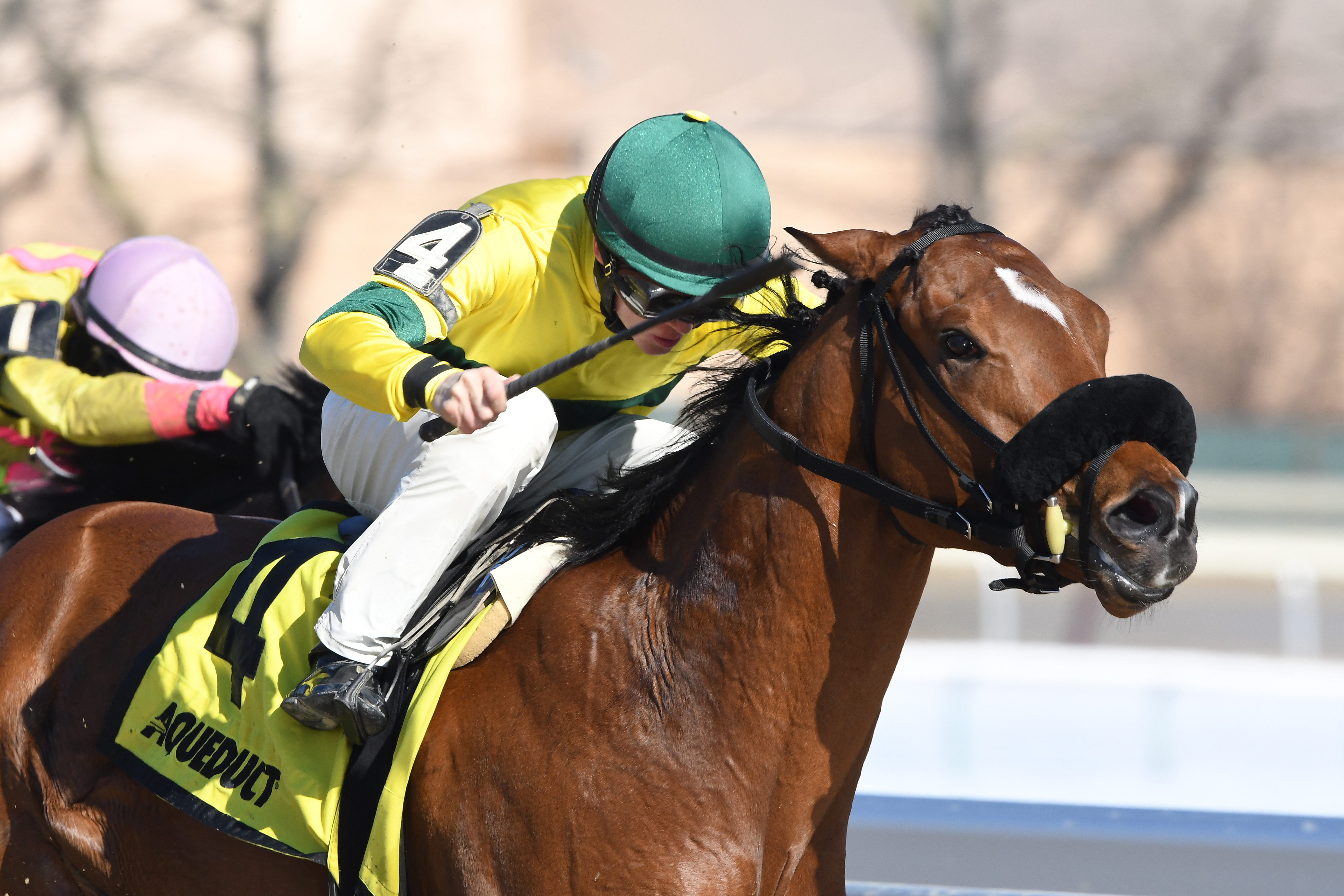 Nine Route wins the 2018 Gander Stakes