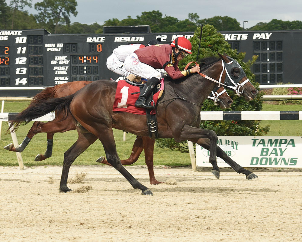 Noble Drama wins the 2018 Silver Charm Stakes
